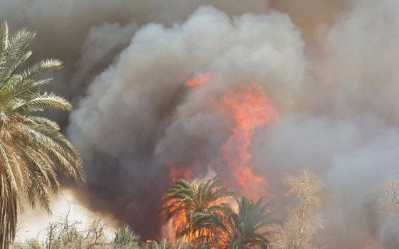   مصر اليوم - نشوب حريق في أحد مصانع البحيرة دون إصابات بشرية