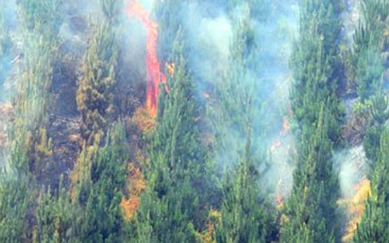   مصر اليوم - حريق كبير يقضي على 8 منازل في سوهاج