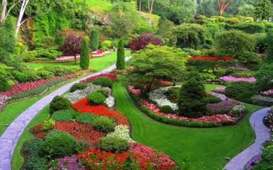   مصر اليوم - فتح حديقة البانوراما مجانًا للمواطنين في الجيزة