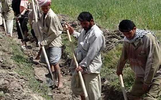 مصر اليوم - نقابة فلاحي أسيوط تطالب الزراعة بتخفيض أسعار الأسمدة