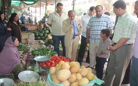   مصر اليوم - محافظ الفيوم يتفقد المواقف والأسواق