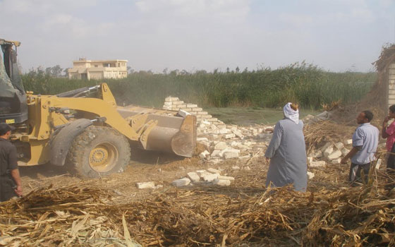   مصر اليوم - إزالة 12 حالة تعدي على أراضي زراعية في مراكز سوهاج