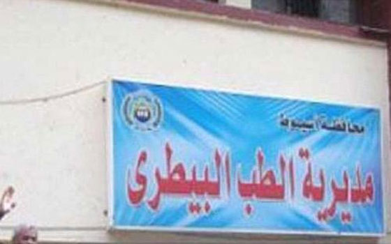 مصر اليوم - ضبط لحوم وملوحة غير صالحة للاستخدام في أسيوط