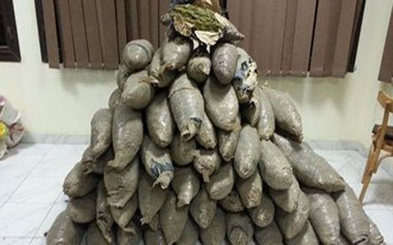 مصر اليوم - أمن بني سويف يضبط مزارعًا مسلحًا بحوزته أربعة كيلو بانجو