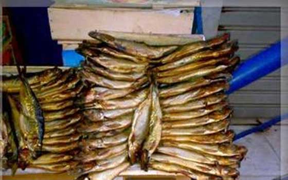   مصر اليوم - ضبط 6 طن أسماك رنجة فاسدة في البحيرة