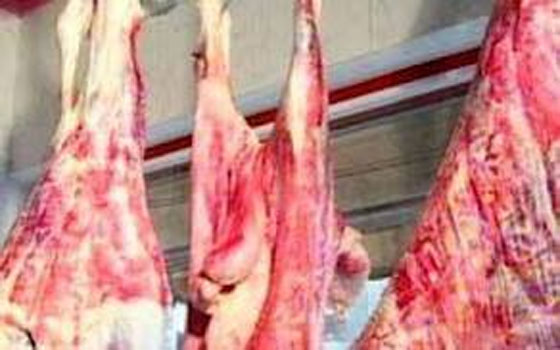   مصر اليوم - ضبط 152 كيلو لحوم غير صالحة للاستهلاك في أسيوط