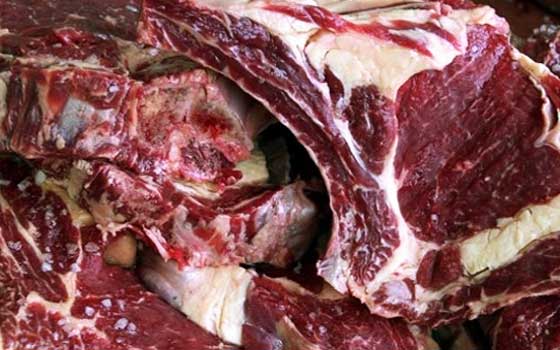   مصر اليوم - ضبط لحوم ماشية نافقة قبل بيعها إلى المواطنين في سوهاج