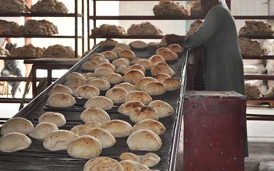 مصر اليوم - إشهار نقابة مستقلة للعاملين في مخابز السويس