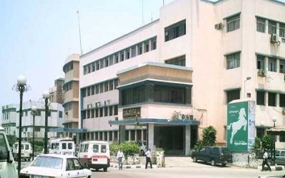 مصر اليوم - استنفار أمني في الشرقية عقب استهداف محولي القنايات