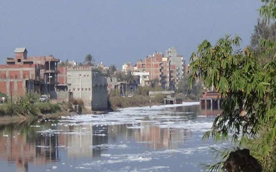   مصر اليوم - وفاة شاب بسلاح صديقه في كفر الدوار