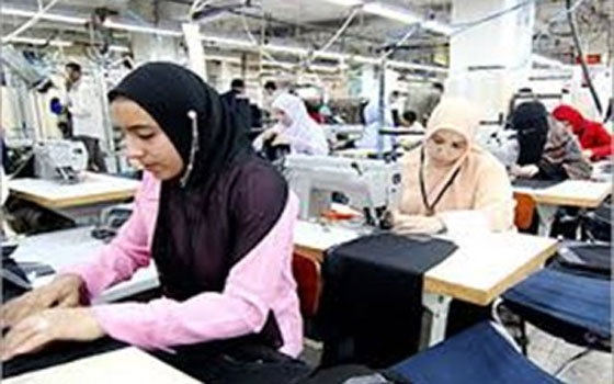 مصر اليوم - دورات تدريبية للراغبين في إقامة مشروعات إستثمارية