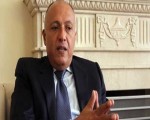   مصر اليوم - شكري يبحث مع كيري تطورات الأوضاع في قطاع غزة