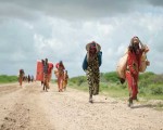 مصر اليوم - برنامج الغذاء العالمي يحذر من تدهور حالة الأمن الغذائي في الصومال
