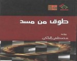 مصر اليوم - نادي القصة في أسيوط يناقش رواية البلكي طوق من مسد