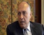 مصر اليوم - شكري: مصر لم تدخر جهدًا لوقف إطلاق النار واستئناف المفاوضات