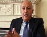   مصر اليوم - شكري يلتقي موسى والسنيورة وعلاوي أعضاء مجلس  الحكماء