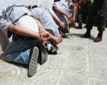   مصر اليوم - القبض على مطلوبين ومخالفين في عدة محافظات