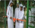   مصر اليوم - إفتتاح 4 ملاعب رياضية في منتزه الحليو في عجمان