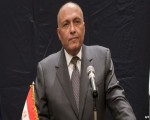   مصر اليوم - سامح شكرى يبحث الأوضاع المتدهورة فى غزة مع نائب وزير خارجية اليابان