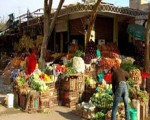   مصر اليوم - ثبات أسعار الخضروات بسوق العبور