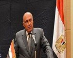 مصر اليوم - شكري يجري تنسيقًا مشتركًا مع نظرائه العرب لوقف العدوان علي غزة