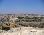 مصر اليوم - مصر تقوم باتصالات مكثفة لتهدئة الأوضاع في الأراضي المحتلة