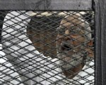 مصر اليوم - الإعدام لـ10 والمؤبد لبديع وآخرين في قضية قطع طريق قليوب