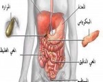   مصر اليوم - تناول 10 مللي جرام من الزنك يحميك من انتفاخ المعدة