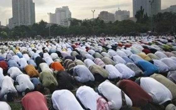   مصر اليوم - إعداد 385 ساحة لأداء صلاة عيد الفطر المبارك في الدقهلية