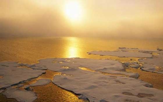   مصر اليوم - ارتفاع درجات الحرارة يؤدي إلى تكون حصى الكلى