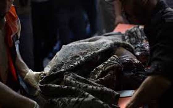   مصر اليوم - استشهاد مسؤل المكتب الاعلامى لسرايا القدس ونجله في غارة جوية إسرائيلية