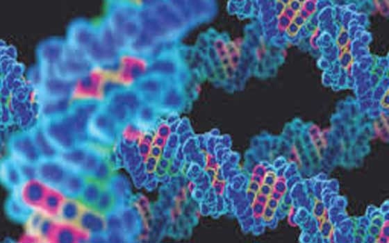   مصر اليوم - اكتشاف جين غامض مسؤول عن ولادة التوأم