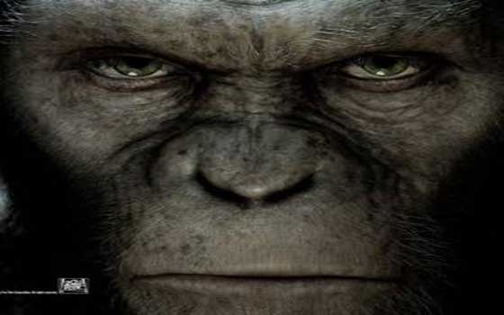 مصر اليوم - مليون دولار عائدات الجزء الثاني من فيلم كوكب القرود في الأسبوع الأول