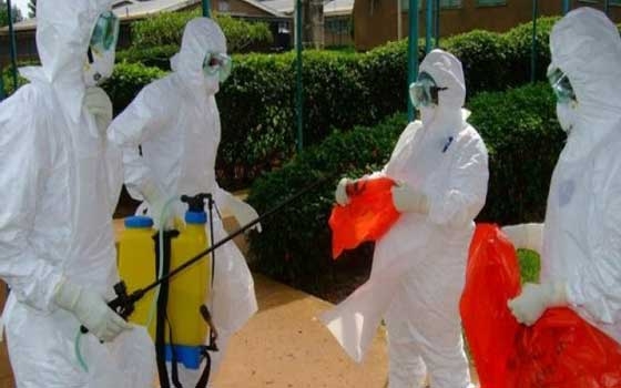   مصر اليوم - ليبيريا تغلق جميع حدودها لاحتواء تفشي مرض الإيبولا