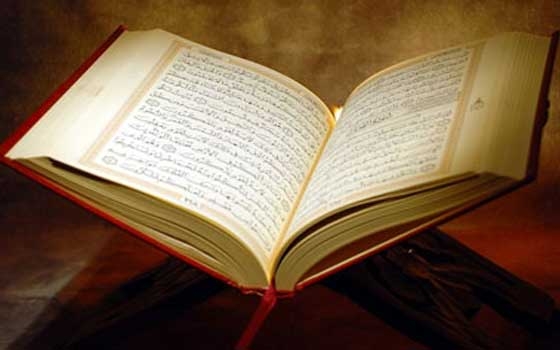   مصر اليوم - تكريم 135 فائزا بمسابقة حفظ القرآن الكريم في الغردقة