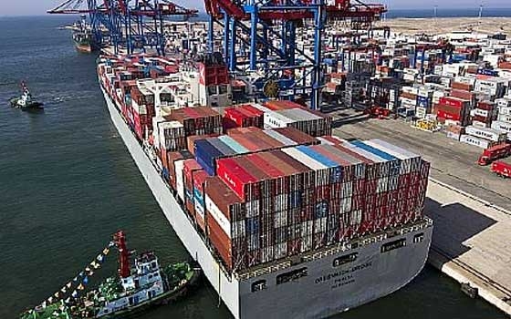   مصر اليوم - وصول 25 ألفا و513 رأس ماشية حية و6 آلاف طن بوتاجاز لموانىء السويس