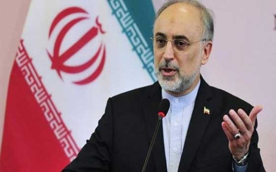   مصر اليوم - وزير خارجية إيران يحث الدول الإسلامية لإطلاق حملة مساعدات لغزة