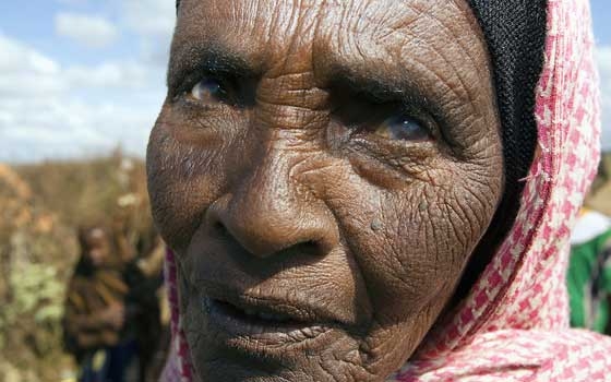   مصر اليوم - السود يشيخون أسرع فضلاً عن زيادة عمرهم الصحي مقارنة بالفعلي