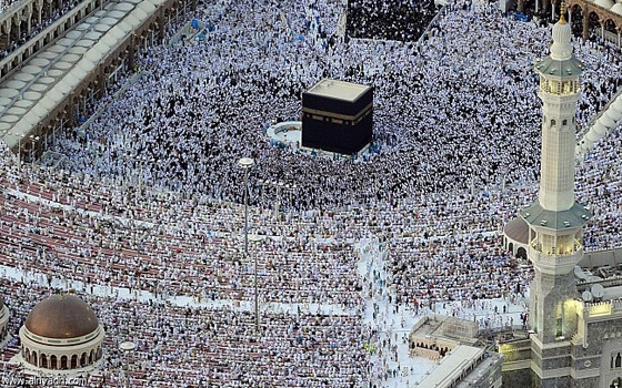   مصر اليوم - غرفة شركات السِّياحة في انعقاد دائم لبحث أزمة تأشيرات العمرة