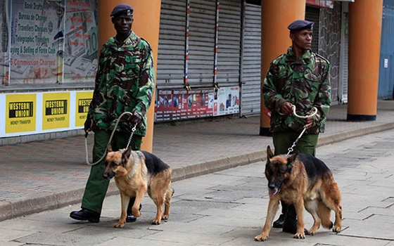   مصر اليوم - أرتفاع حصيلة ضحايا هجومين على ساحل كينيا إلى 29 قتيلًا