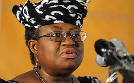   مصر اليوم - نيجيريا تحذر من التسرع في تطبيق نظام العملة الموحدة