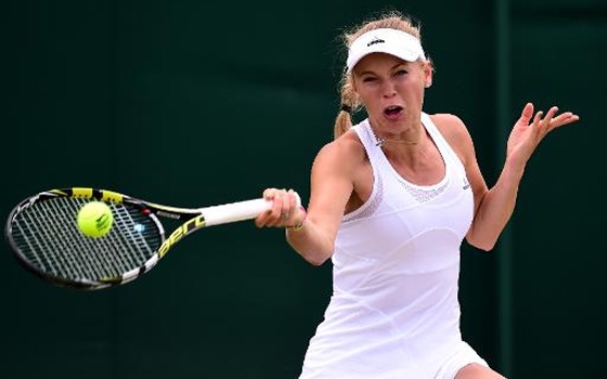   مصر اليوم - دورة إسطنبول: فوزنياكي وفينتشي إلى المباراة النهائية