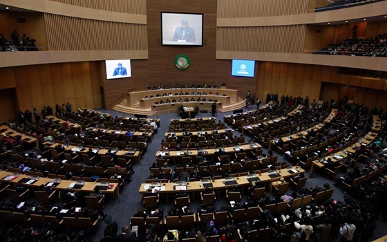   مصر اليوم - 250  منظمة حقوقية تطالب واشنطن  في حضور رسمي للقمة الافريقية