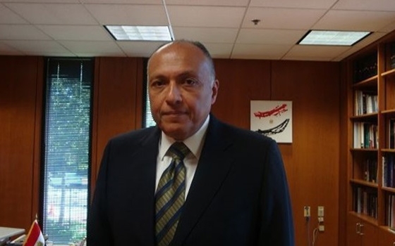 مصر اليوم - شكري: الرئيس السيسي يبحث مع فابيوس العلاقات الثنائية