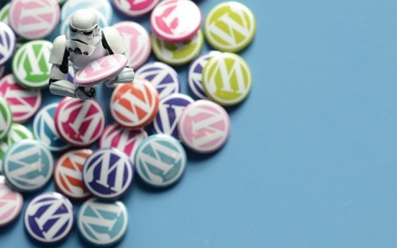   مصر اليوم - خبراء يحذون من ثغرة أمنية في منصة ورد برس