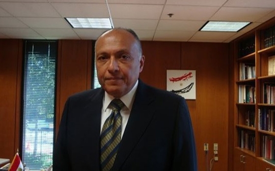   مصر اليوم - شكرى يؤكد على ضرورة وقف العنف في غزة ووضع حد لإراقة الدماء