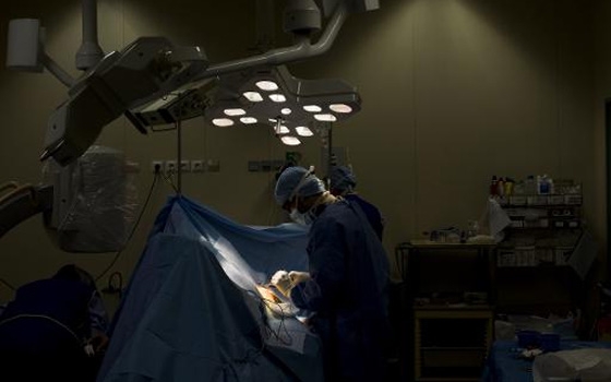   مصر اليوم - ضخ جينة في عضلة القلب قد يكون بديلًا عن جهاز ضبط نبضات القلب