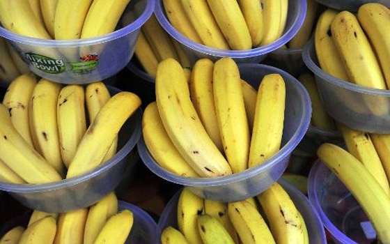   مصر اليوم - كوكايين مخبأة في صناديق الموز في متاجر كبيرة في البرتغال