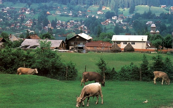   مصر اليوم - أكتشف رومانيا بعيدًا عن دراكولا برنامج دولي تشارك فيه مصر
