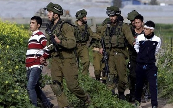   مصر اليوم - إسرائيل تعتقل 60 شابًا وقاصرًا من أراضي 1948 خلال يومين